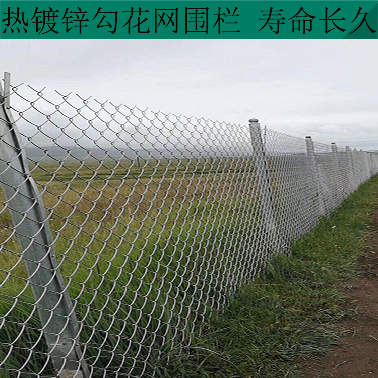 河北勾花網隔離網圖片2